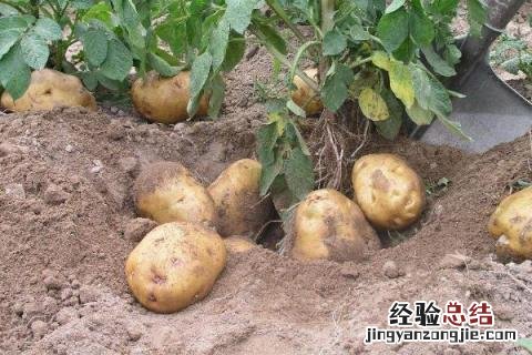 一年四季的农事有什么 你知道一年四季农民的农事的嘛
