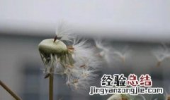 心殇别离是什么意思 有关心殇别离是什么意思