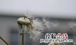 心殇别离是什么意思 有关心殇别离是什么意思