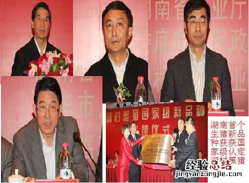 湖南首个生猪新品种获获国家级认定 湖南省的地方猪品种有几个