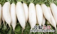 梦见萝卜是什么意思 梦见萝卜是什么意思周公解梦梦见萝卜空心