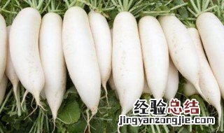 梦见萝卜是什么意思 梦见萝卜是什么意思周公解梦梦见萝卜空心