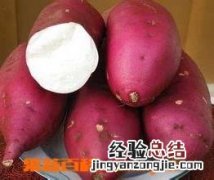 吃红薯的好处 宝宝吃红薯的好处