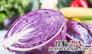 紫甘蓝是什么菜? 紫甘蓝是什么菜