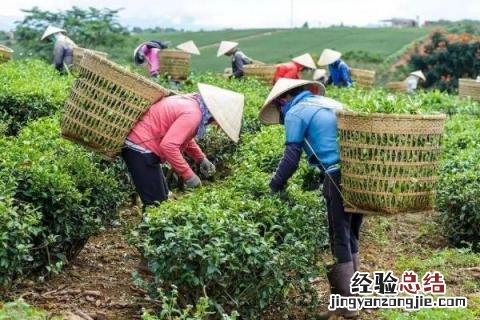在春天做的农事有什么 春天做的农事都有什么