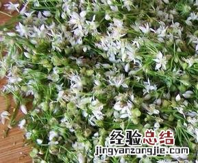韭菜花怎么吃好 韭菜花怎么吃好消化