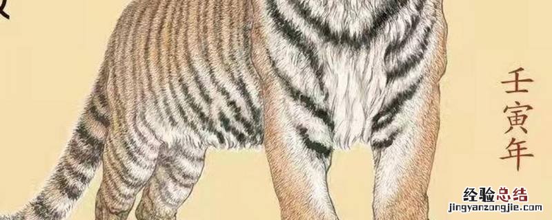 壬寅年后面是什么年 壬寅年之后是什么年