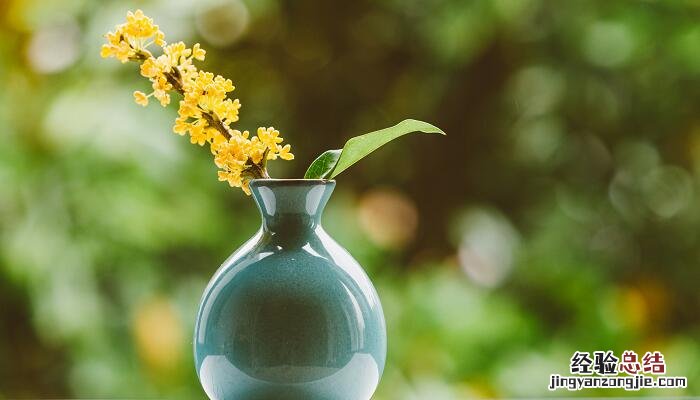 咏桂花吕声之赏析 《咏桂花》