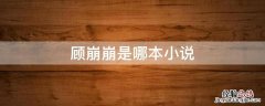 顾崩崩是哪本小说