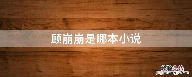 顾崩崩是哪本小说