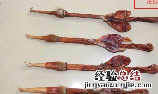鹿鞭片的功效与作用吃法 鹿鞭的功效与作用吃法
