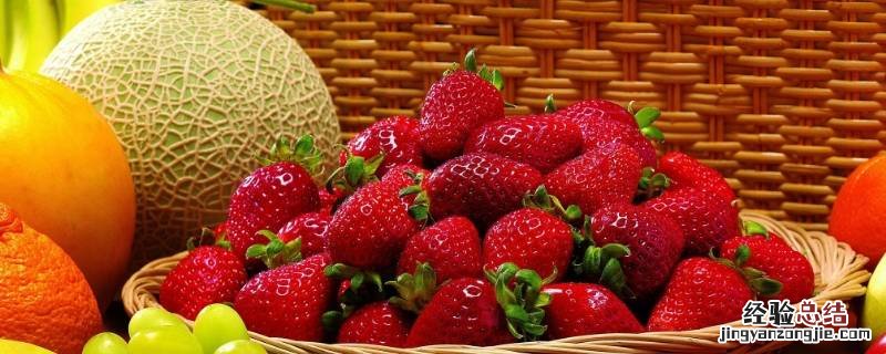 水果生的小飞虫怎样处理 水果生成的小飞虫怎么治理