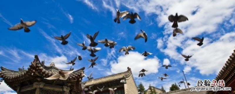 中国带有西的省份 中国带西的省份