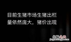 目前生猪市场生猪出栏量依然庞大，猪价出现反弹的地区力度尚不大