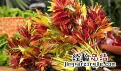 香椿芽的吃法禁忌 香椿芽的吃法禁忌是什么