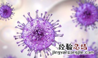 健康携带者是什么意思 健康携带者指什么是不是没有症状
