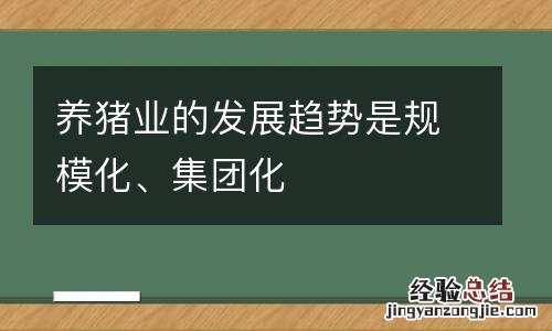 养猪业的发展趋势是规模化、集团化