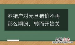 养猪户对元旦猪价不再那么期盼，转而开始关心2015年猪价行情