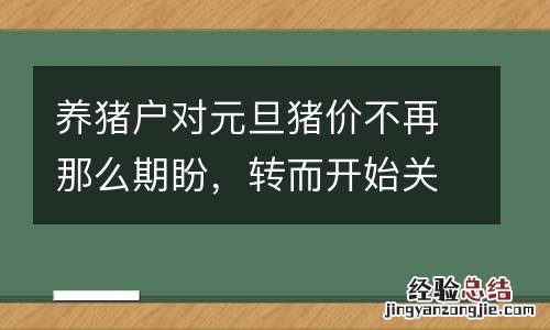养猪户对元旦猪价不再那么期盼，转而开始关心2015年猪价行情