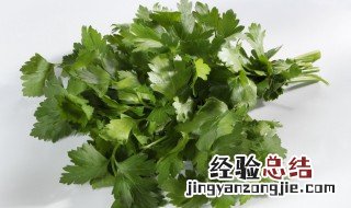 香菜煮水的功效与作用禁忌 香菜煮水禁忌