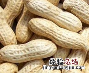 花生壳的营养价值 花生壳的营养价值及功效