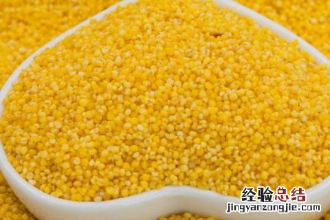 米的种类 米的种类名称大全