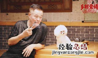 乡村爱情12有多少集 乡村爱情12剧情简介