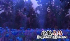 魔兽世界经典怀旧服金珍珠哪里刷 魔兽世界经典怀旧服金珍珠哪里刷快