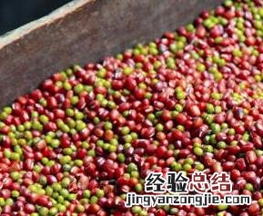 红小豆绿豆能减肥吗 红豆绿豆真的能减肥