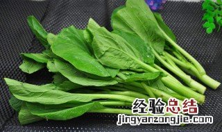 芥兰是什么季节种的 芥兰是什么季节种的呢