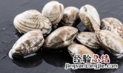 花甲炒什么配菜好吃 花甲的烹饪方法
