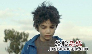 何以为家是哪个国家的电影 何以为家电影介绍