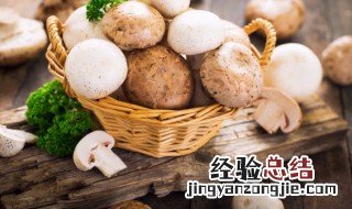 口蘑海木耳汤的做法 口蘑海木耳汤的做法大全