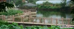 绵阳花街是什么地方 绵阳花荄水井巷还有吗