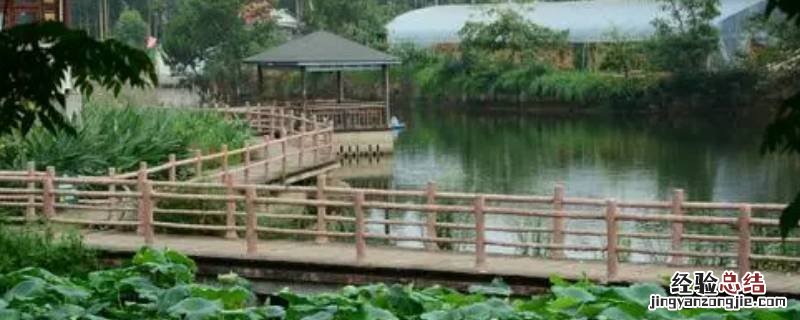 绵阳花街是什么地方 绵阳花荄水井巷还有吗