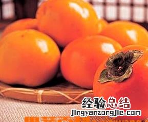 吃柿子的禁忌有哪些 吃柿子的禁忌有哪些蔬菜