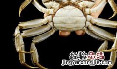 海螃蟹保存方法 海螃蟹保存方法保鲜不死