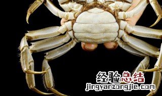 海螃蟹保存方法 海螃蟹保存方法保鲜不死