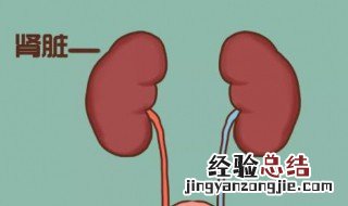 肾健康的症状有哪些 肾健康的症状
