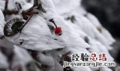 下雪了写一段话 描述下雪写一段话