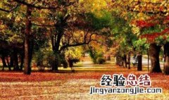 秋天的美景写一段话 形容秋天美景的句子