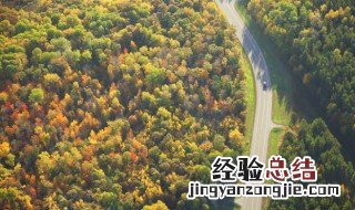 凛凛然森森然是什么意思 凛凛然森森然具体是什么意思