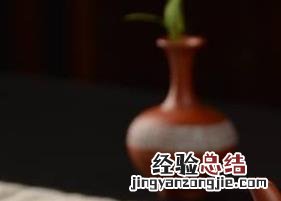 紫砂壶内的茶垢怎么洗掉 紫砂壶内的茶垢怎么洗