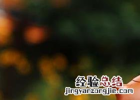 紫砂壶的茶垢如何去除 紫砂壶的茶垢怎么去除