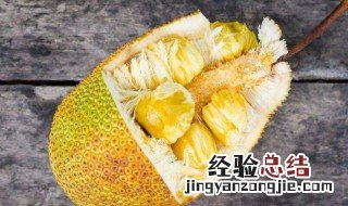 菠萝蜜可以生吃吗 菠萝蜜能生吃怎么吃法