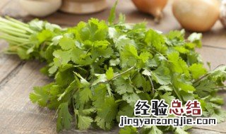 香菜炒什么好吃 香菜的烹饪方法