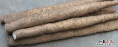 种山药为什么不能重茬 山药种植技术，为什么不能连续种