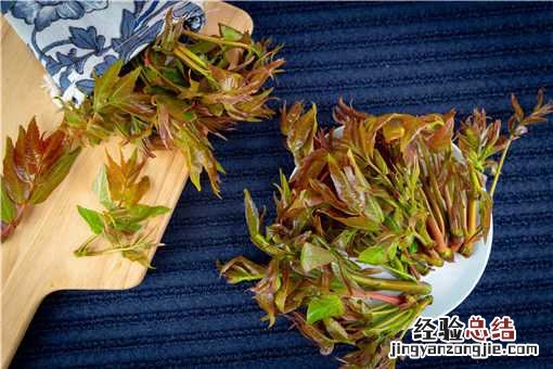 香椿价格已降至20元一斤！之前价格多少？附各地香椿最新价格！