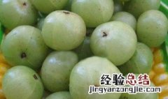 油柑子的功效与作用及食用方法 油柑子的功效与作用及常见用法