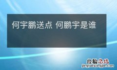 何宇鹏送点 何鹏宇是谁